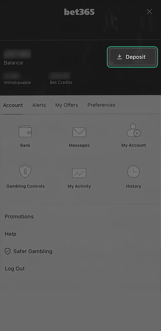 Add money to your balance for football betting at Bet365.