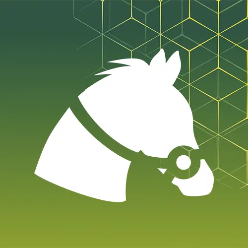 Get the highest payouts on horse racing bets at Bet365.